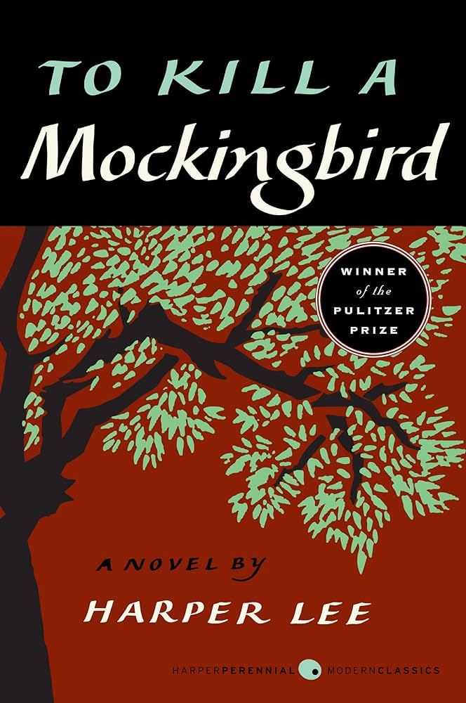 To Kill a Mockingbird — one of Hayla Bailey's favorites (reading)